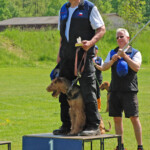 FCI-IFH 2: 1. Rang / Weltmeister IFH: Stanislav Šleitr (CZ) mit Forever Dixie Finta-Star 7396