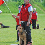 FCI-IGP 3: 3. Rang: Daniel Widmer (CH) mit Baro vom Haus Schirmer 7419