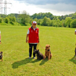 die drei Teilnehmenden des SCFT: Klara Flückiger mit Border Terrier "Cady-Cia vom Schmittenweiher", FCI-IFH1  /  Marlise Neff mit Cairn Terrier "Freckle vom Feldhof" und Airedale Terrier «Lulu's Kaya», FCI-OB1 + OB2  /  Enzo Catarraso mit Border Terrier "Yoyo von Alzendorf", FCI-IGH2 7427